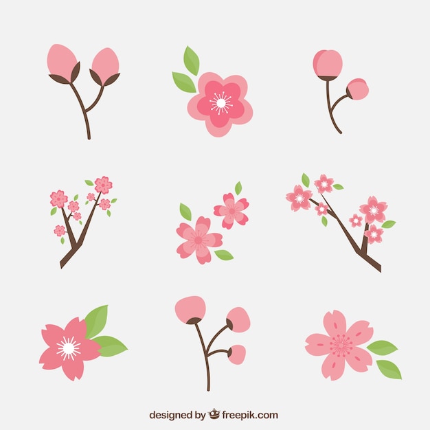 Set de flores de cerezo