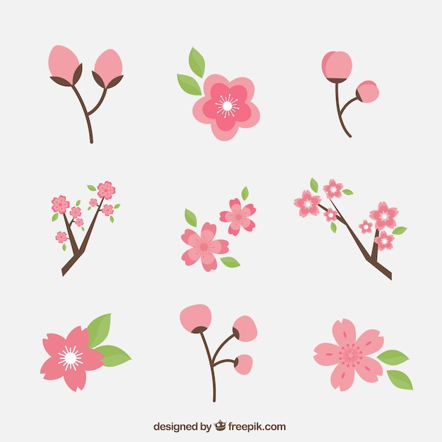 Vector gratuito set de flores de cerezo