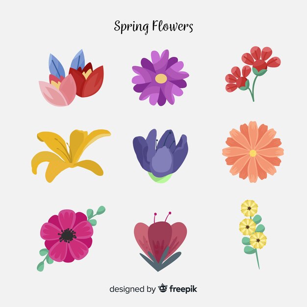 Set flores coloridas dibujadas a mano