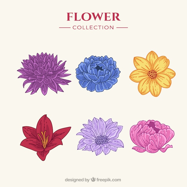 Vector gratuito set de flores coloridas