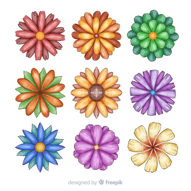 Set flores dibujadas a mano acuarela