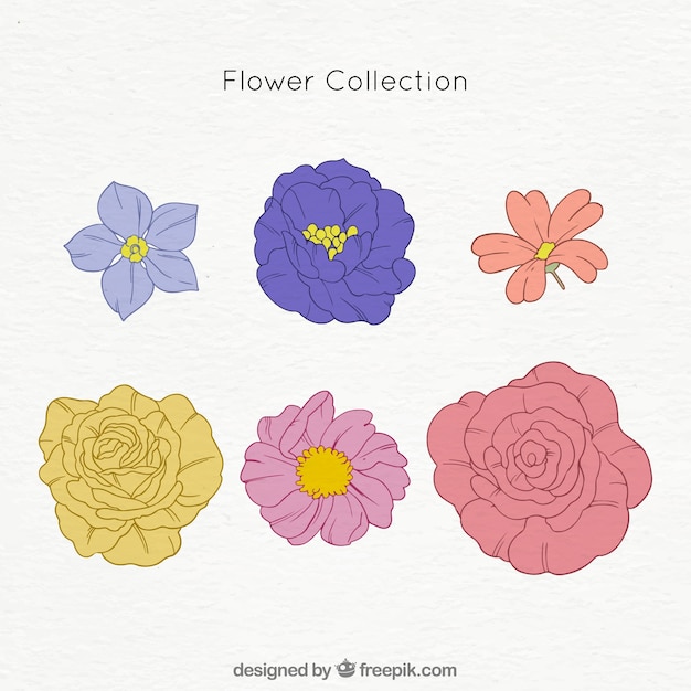 Vector gratuito set de flores en estilo hecho a mano