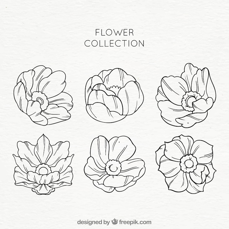 Vector gratuito set de flores en estilo hecho a mano