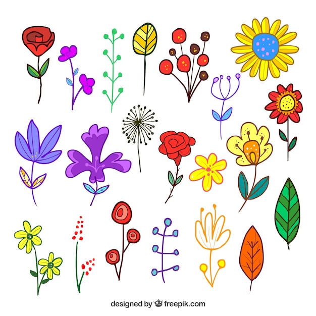 Set de flores en estilo hecho a mano