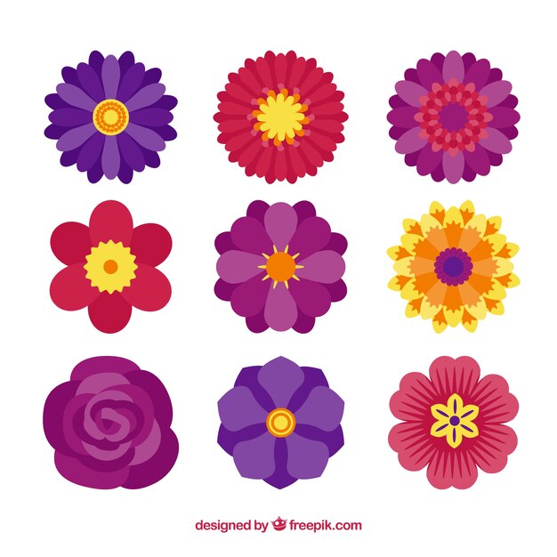 Set de flores en estilo plano