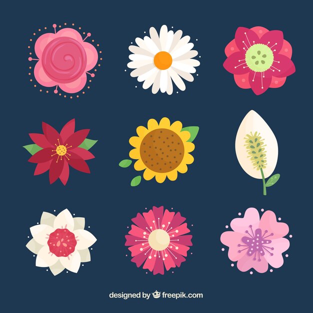 Set de flores en estilo plano