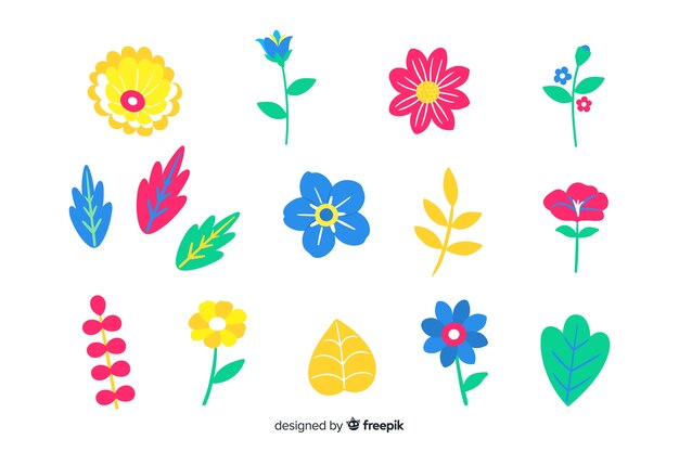 Set de flores y hojas dibujadas