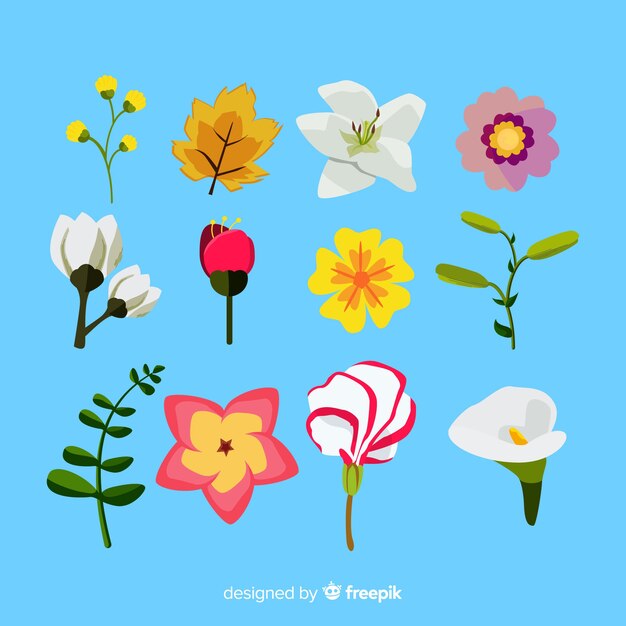 Set de flores y hojas dibujadas