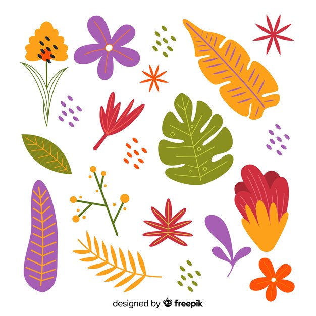 Set de flores y hojas dibujadas