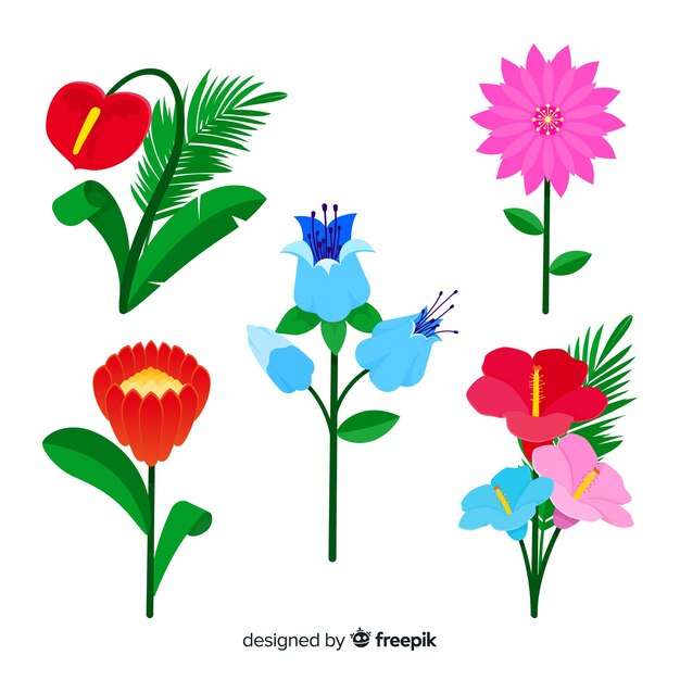 Set de flores y hojas tropicales