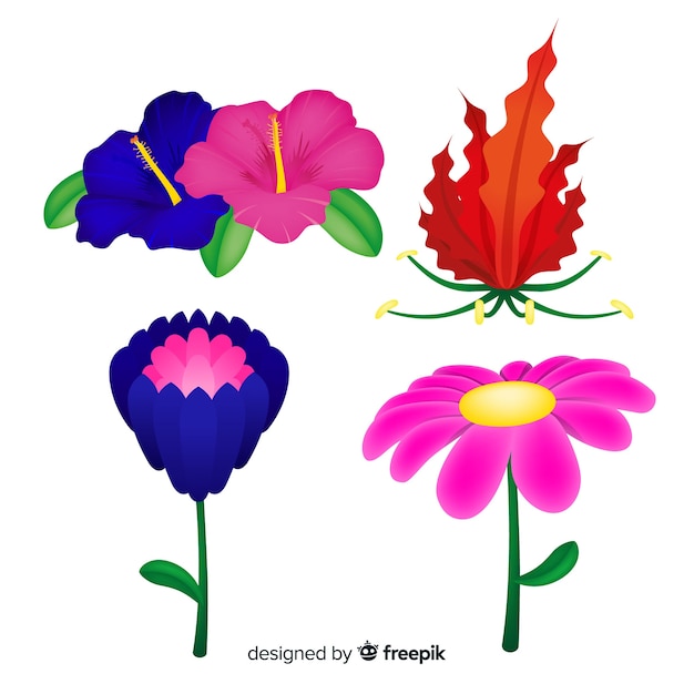 Vector gratuito set de flores y hojas tropicales