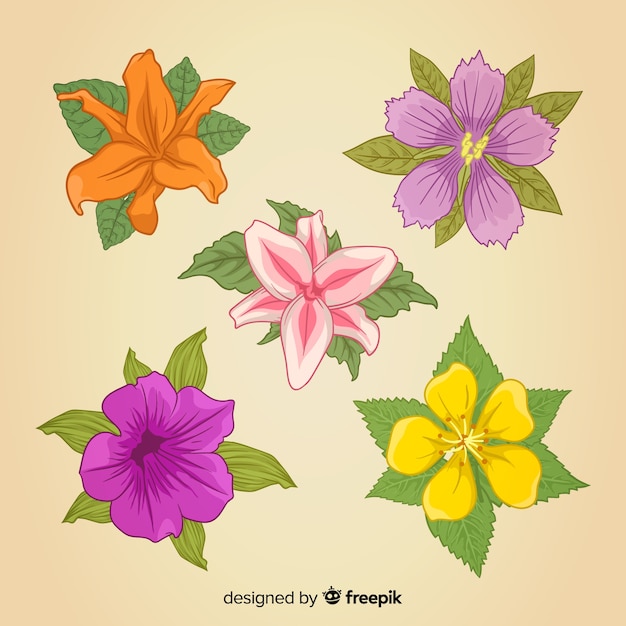 Vector gratuito set de flores y hojas