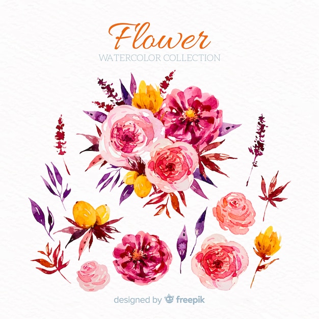 Vector gratuito set de flores y hojas