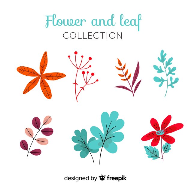 Set de flores y hojas