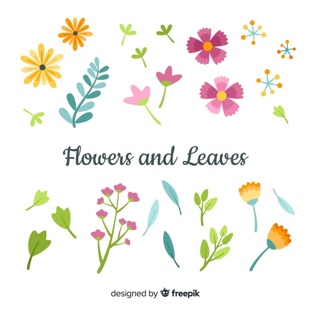 Set de flores y hojas