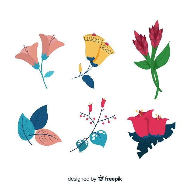 Set de flores y hojas
