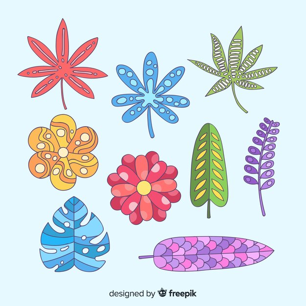 Set de flores y hojas