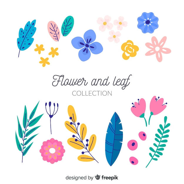 Set de flores y hojas