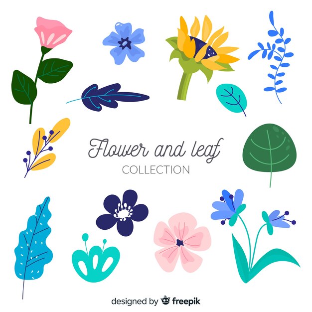 Set de flores y hojas