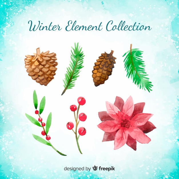 Set de flores de invierno en acuarela