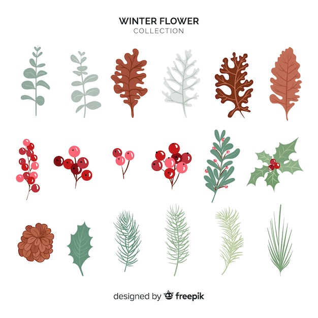 Vector gratuito set de flores de invierno