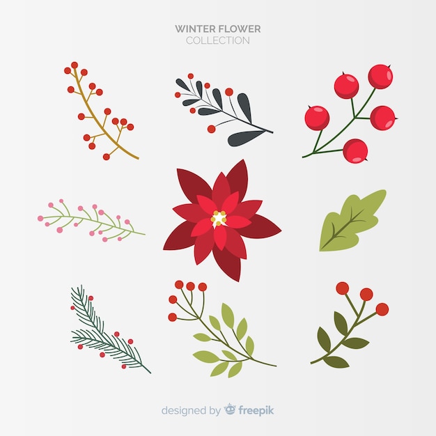 Vector gratuito set de flores de invierno