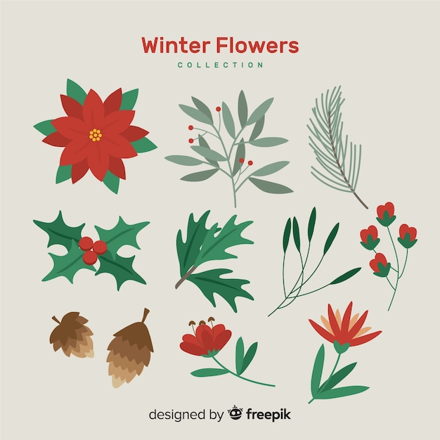 Set de flores de invierno