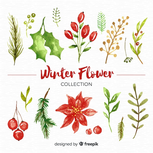 Vector gratuito set de flores de invierno