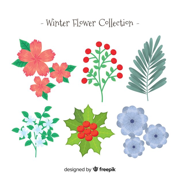 Set de flores de invierno