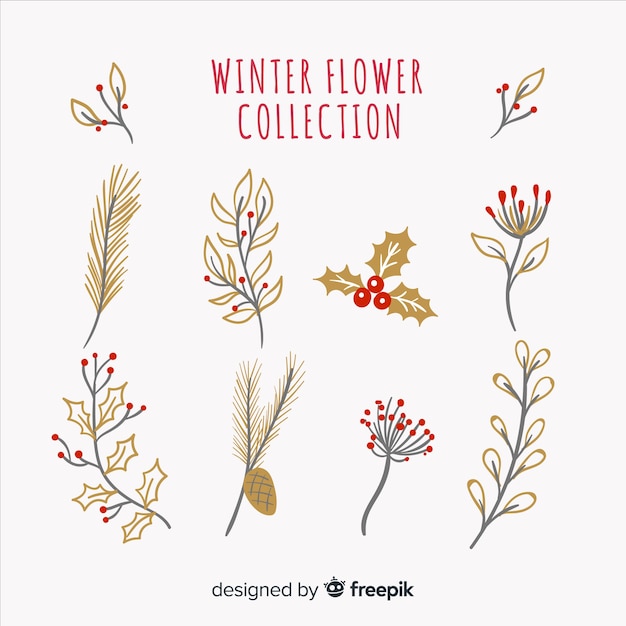 Vector gratuito set de flores de invierno