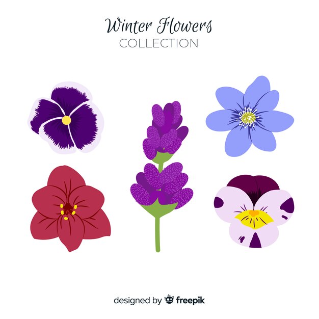 Set de flores de invierno