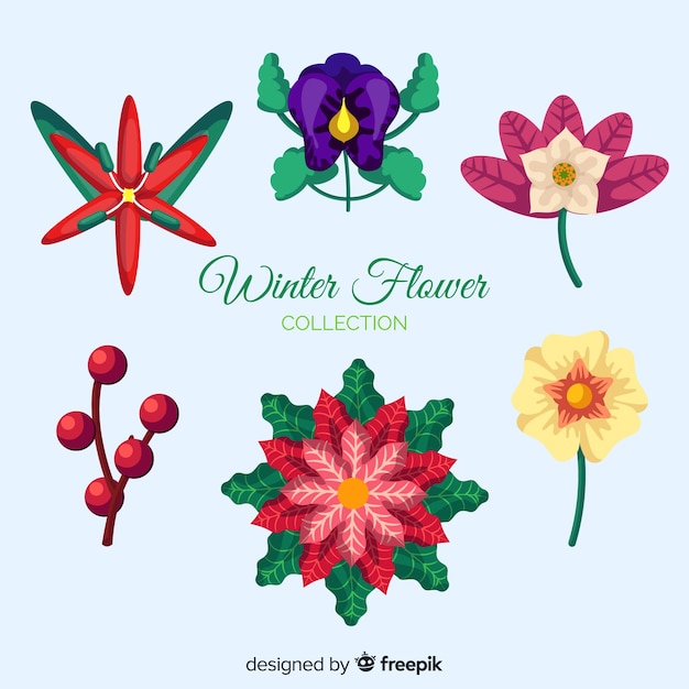 Vector gratuito set de flores de invierno