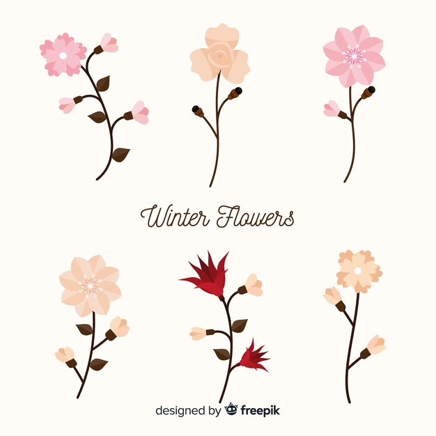 Set de flores de invierno