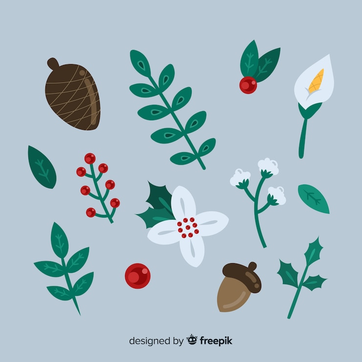 Vector gratuito set de flores de invierno