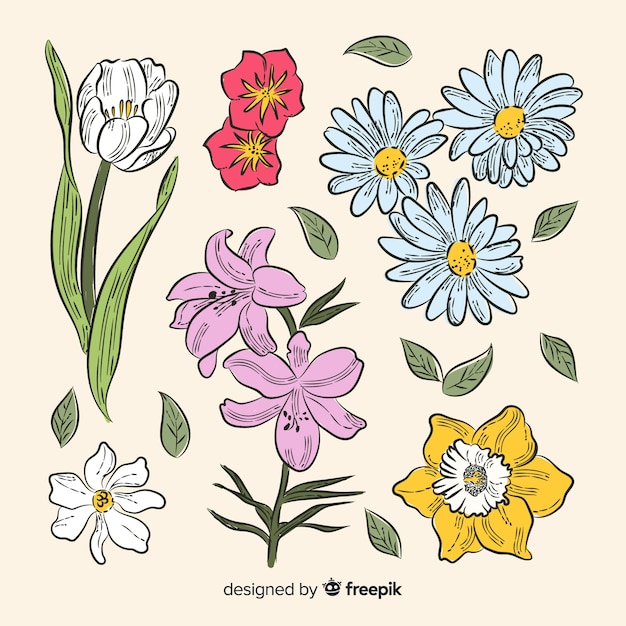 Set flores primavera bonitas