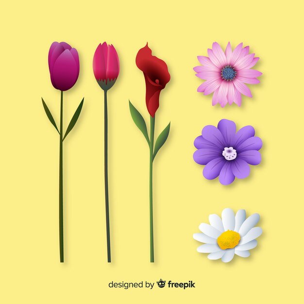 Set de flores de primavera