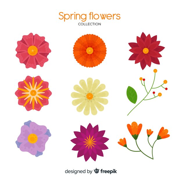 Set de flores de primavera