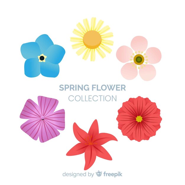 Set de flores de primavera