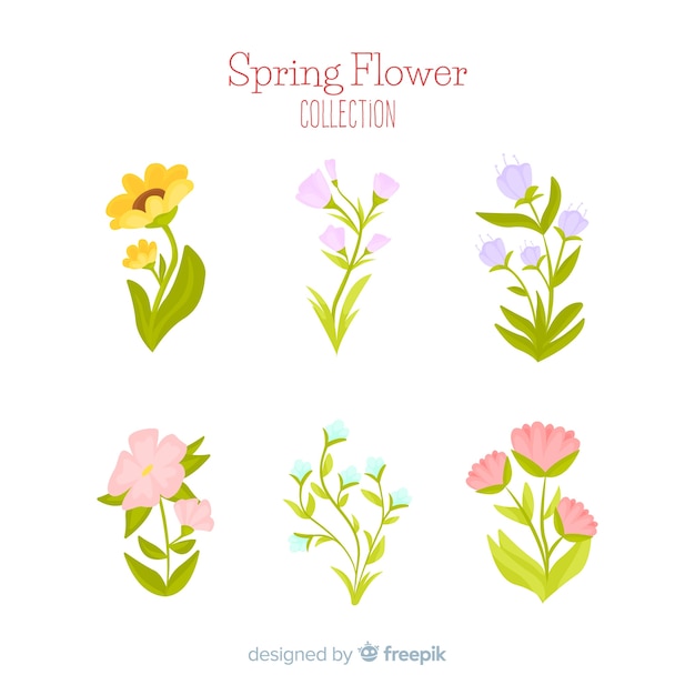Set de flores de primavera