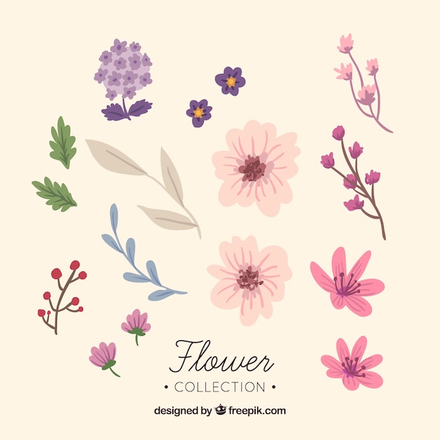 Set de flores