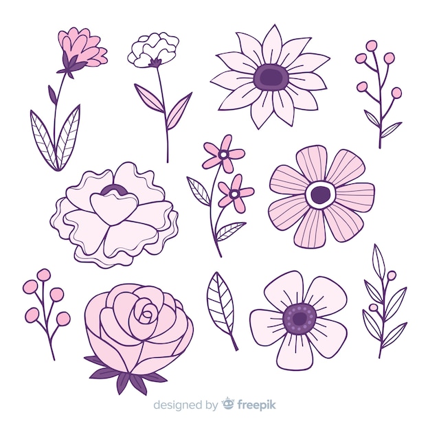 Vector gratuito set de flores