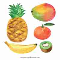 Vector gratuito set de frutas sabrosas pintadas con acuarela