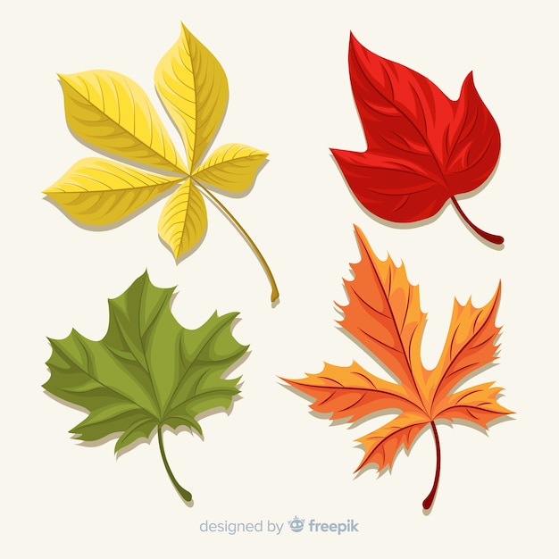 Vector gratuito set de hojas de bosque otoñal dibujado