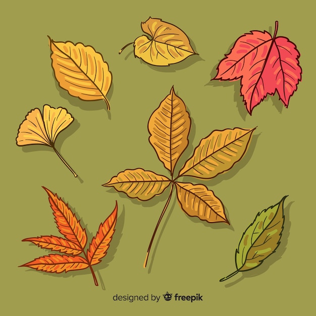 Vector gratuito set de hojas de bosque otoñal dibujado