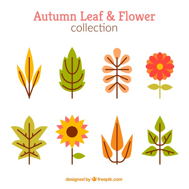 Set de hojas y flores otoñales en diseño plano 