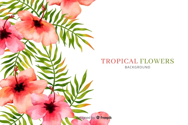 Vector gratuito set de hojas y flores tropicales