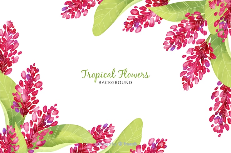 Vector gratuito set de hojas y flores tropicales