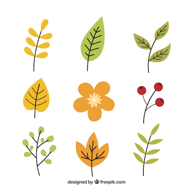 Set de hojas y flores vintage de otoño 