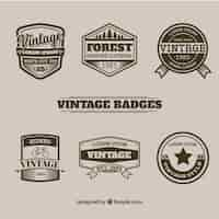 Vector gratuito set de insignias en estilo vintage