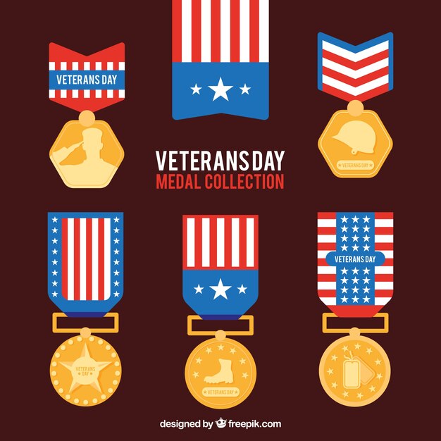 Set de insignias planas del día de los veteranos 